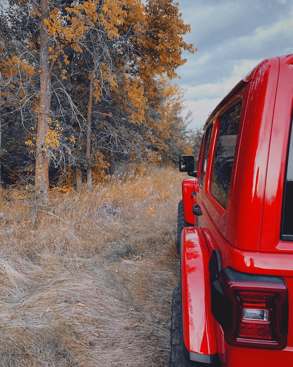 Jeep in autumn forest. 