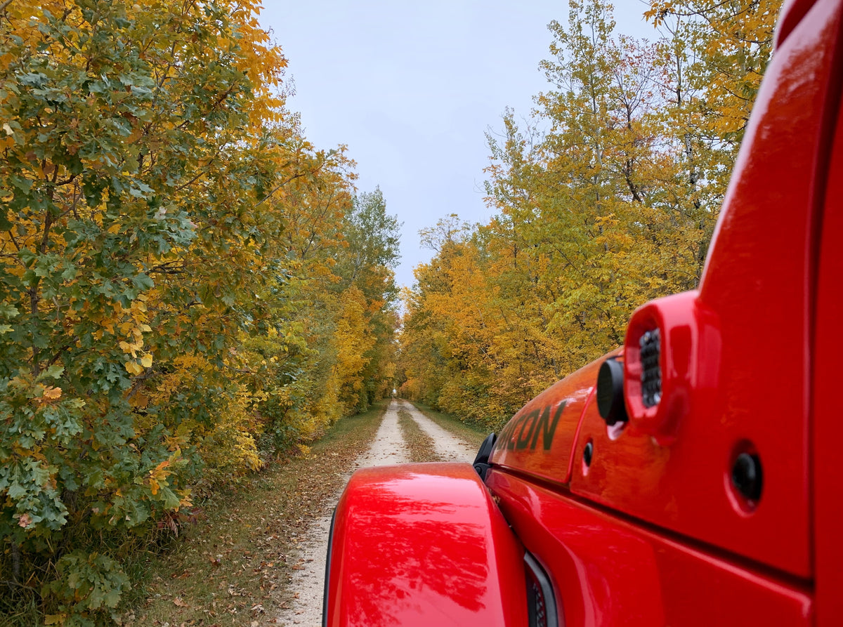 Insight Fusion Air on Old Wilderness Road