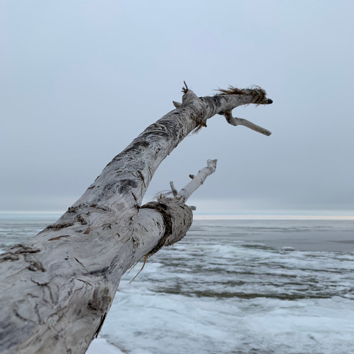 Lake Winnipeg
